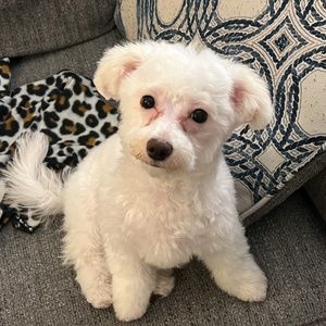 Meet your Posher, Kara